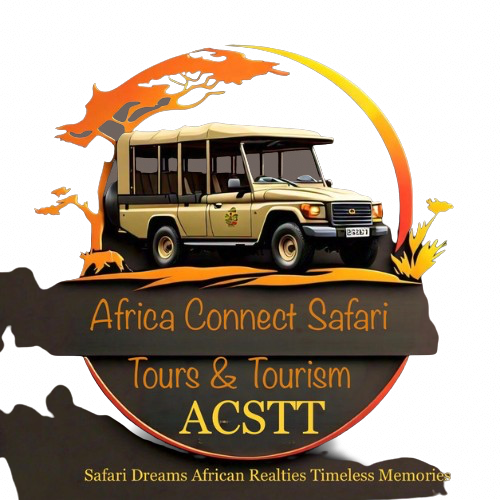 Africa Connect Safari Tours & Tourism